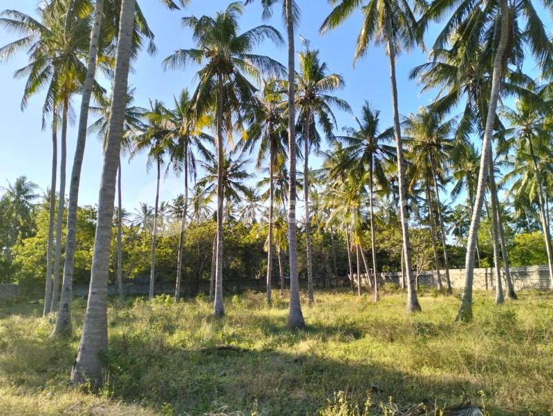 Land for sale Kilifi North Kilifi