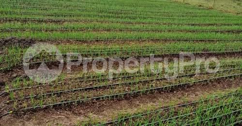 Land for sale along isinya-kiserian road, Kiserian Kiserian