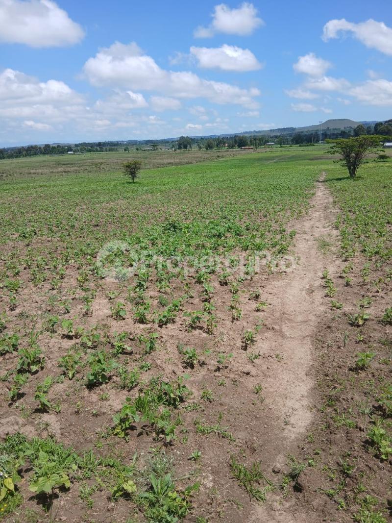 Land for sale Karen Nairobi