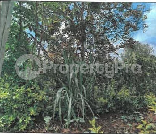Land for sale Runda Nairobi
