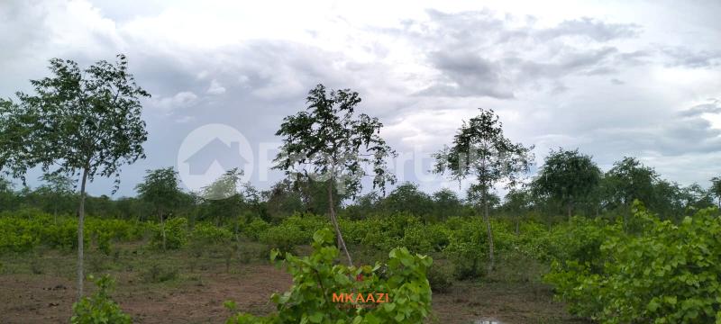 Land for sale Malindi Kilifi