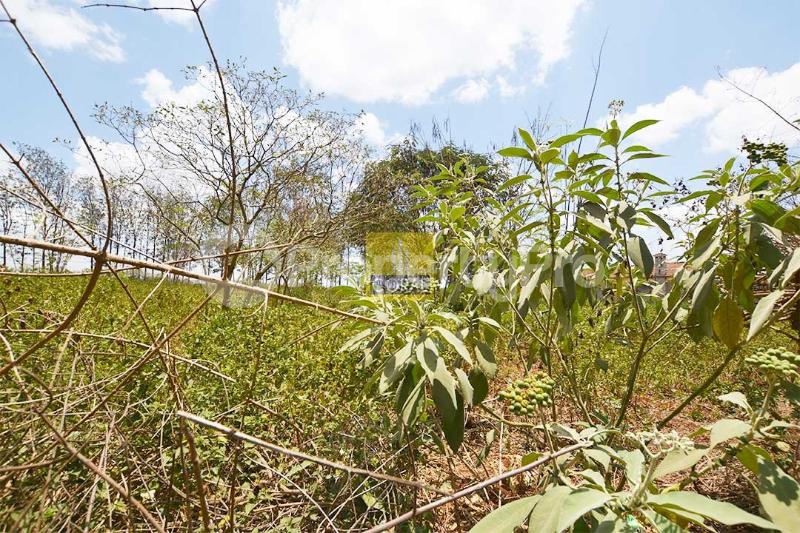 Land for sale Nyari Nairobi - 0