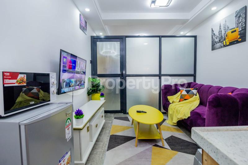 1 bedroom mini flat  Flat&Apartment for rent Kilimani Nairobi - 12