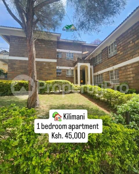 1 bedroom mini flat  Flat&Apartment for rent Lavington Nairobi