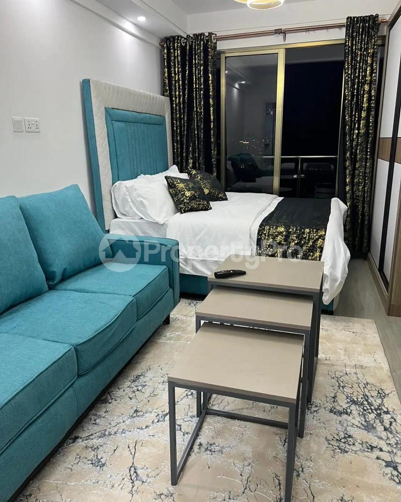 1 bedroom mini flat  Flat&Apartment for rent Kilimani Nairobi