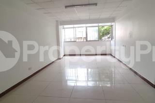1 bedroom mini flat  Flat&Apartment for rent Kilimani Nairobi