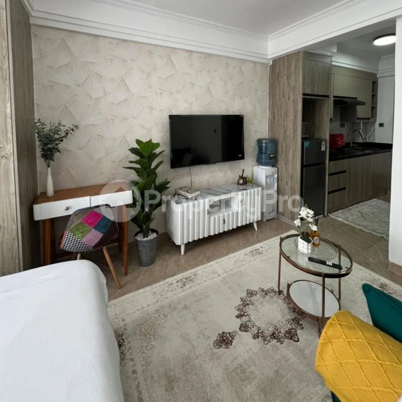 1 bedroom mini flat  Studio Apartment Flat&Apartment for rent Kilimani Nairobi