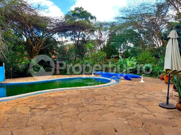 1 bedroom mini flat  Flat&Apartment for rent Karen Nairobi - 7