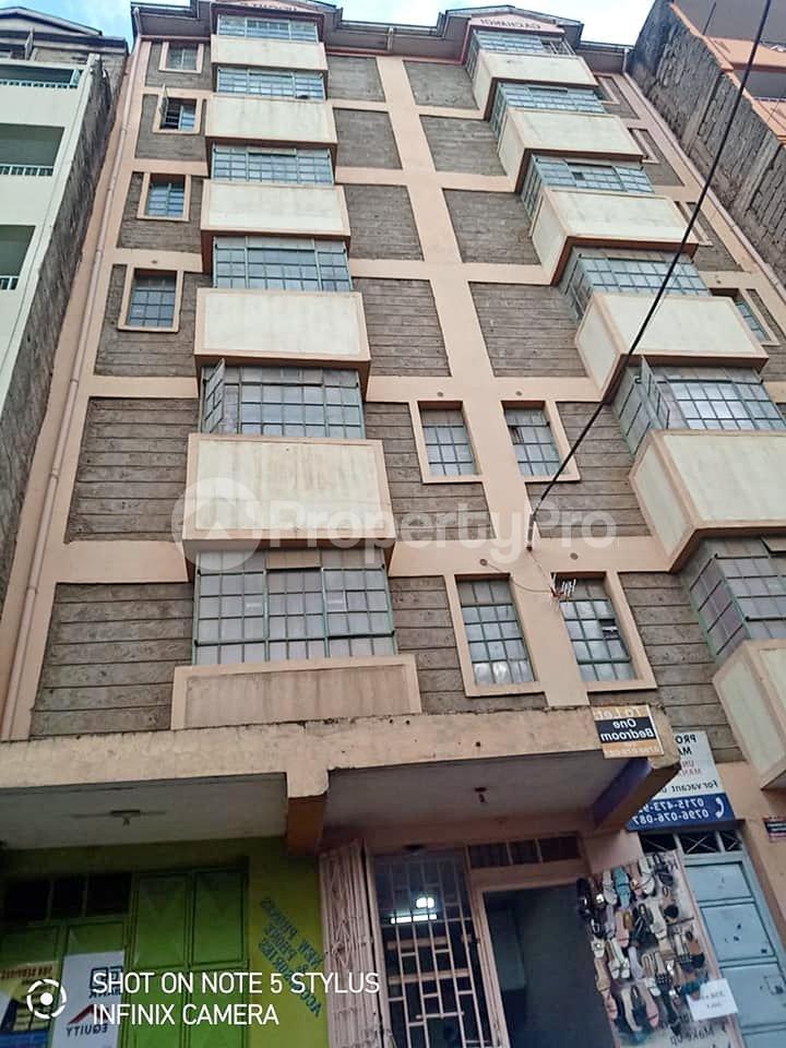 1 bedroom mini flat Flat&Apartment for rent Kakamega Kakamega (PID