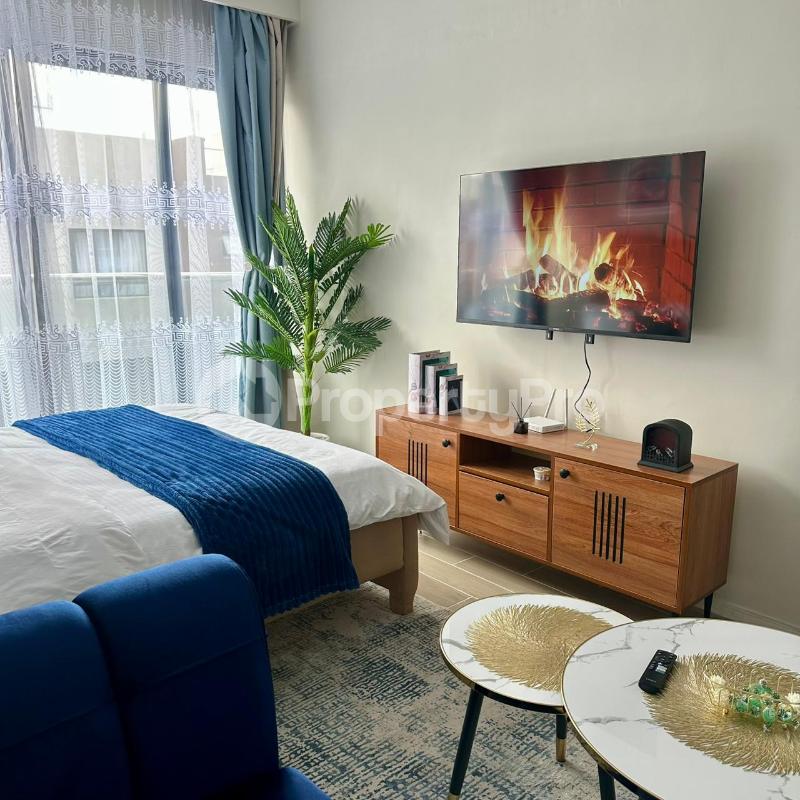 1 bedroom mini flat  Studio Apartment Flat&Apartment for rent Syokimau Nairobi - 1