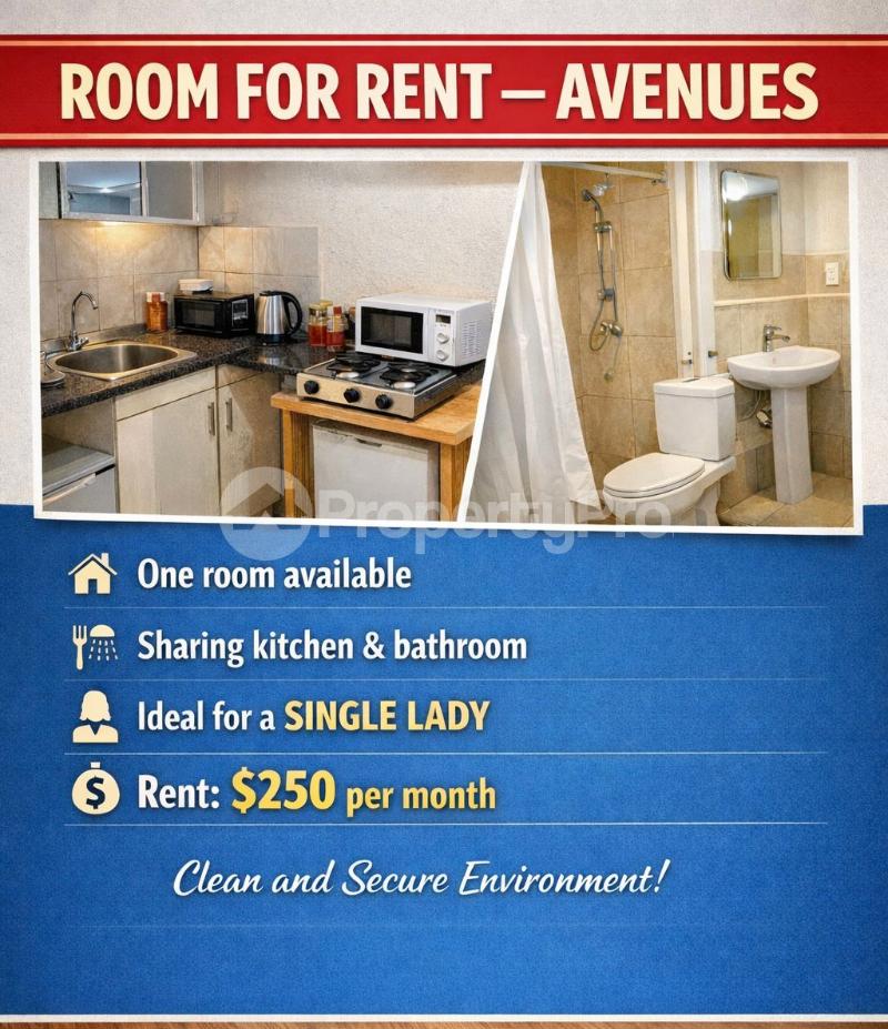 1 bedroom mini flat  Rooms for rent Harare City Centre Harare CBD Harare - 0