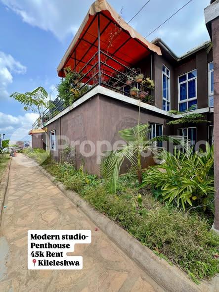 1 bedroom mini flat  Flat&Apartment for rent Kileleshwa Nairobi