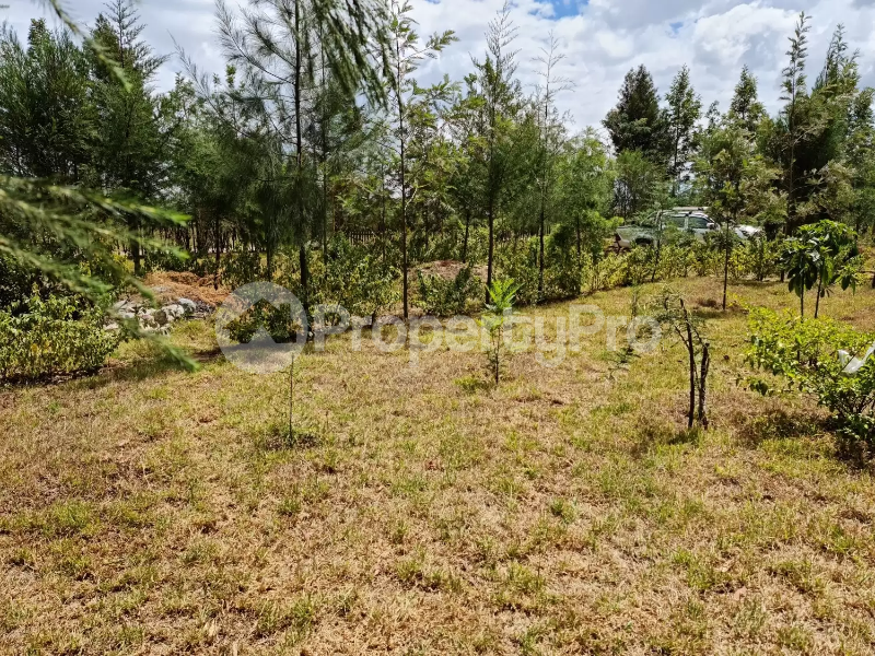 Land for sale Naivasha East Nakuru