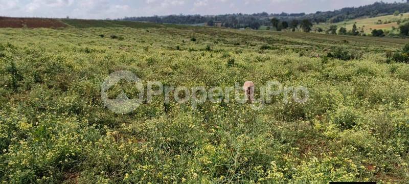Land for sale Olkaria Nakuru