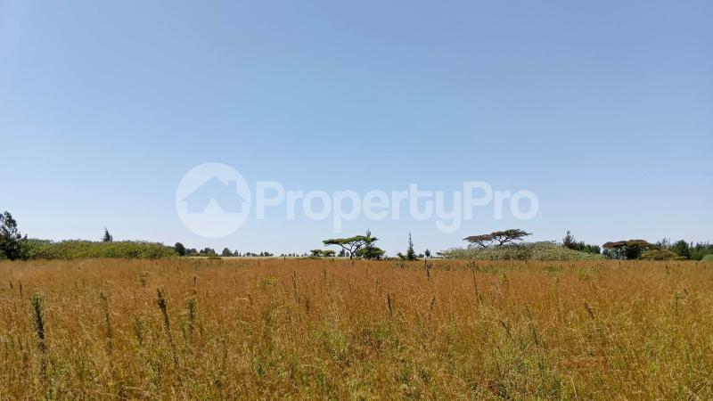 Land for sale Nyahururu Nyahururu