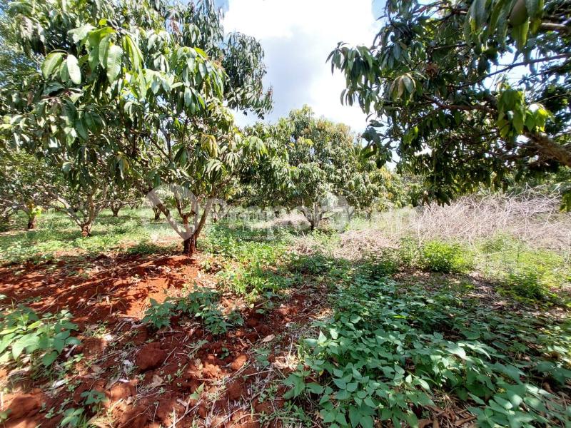 Land for sale Embu Embu