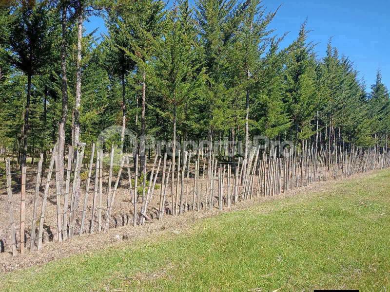 Land for sale Nyandarua Nyandarua