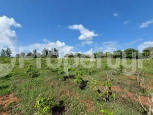 Land for sale Embu Embu