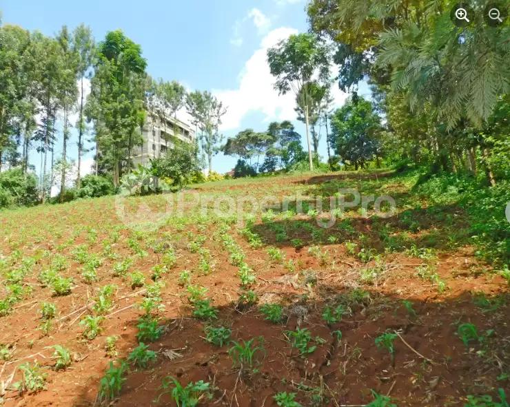 Land for sale Mangu Juja