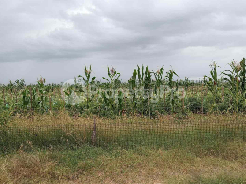 Land for sale Nyeri Nyeri