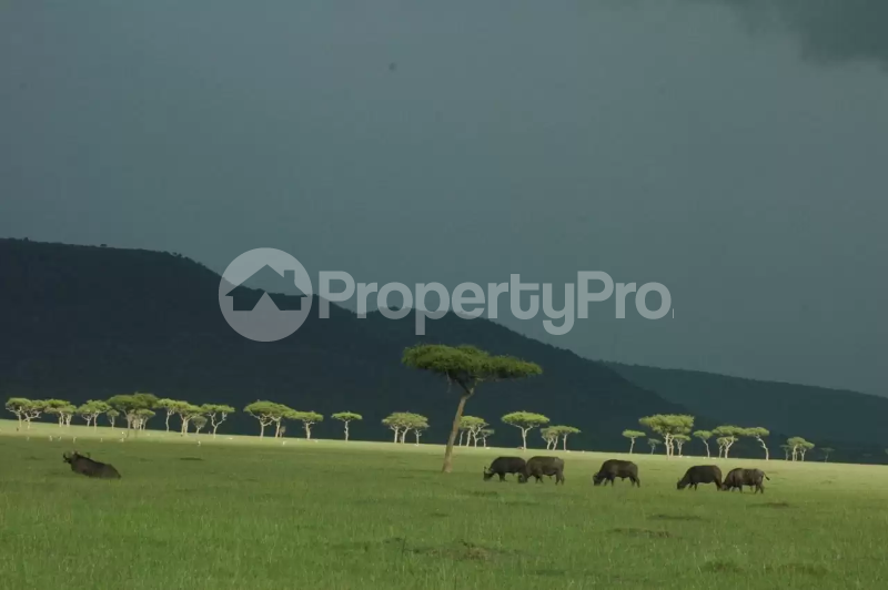 Land for sale Narok Narok