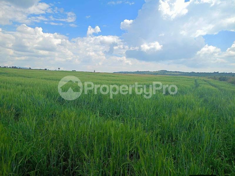 Land for sale Laikipia Laikipia