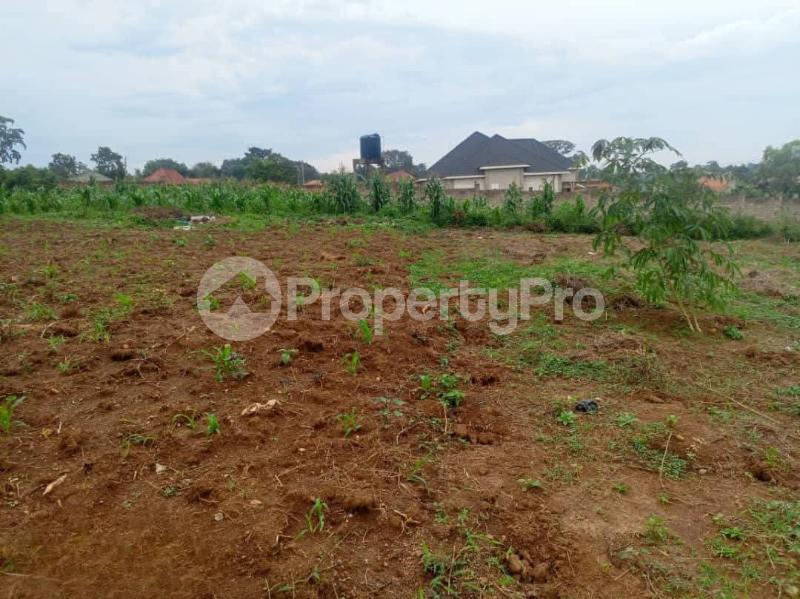 Land for sale Kawempe kabaganda Kampala Central Kampala Central - 4