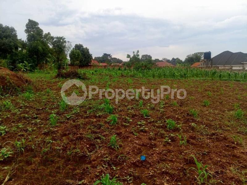Land for sale Kawempe kabaganda Kampala Central Kampala Central - 2
