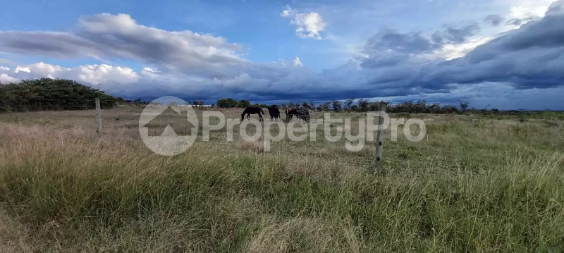 Land for sale Nanyuki Nanyuki