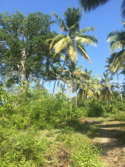 Land for sale Nyali Mombasa - 0