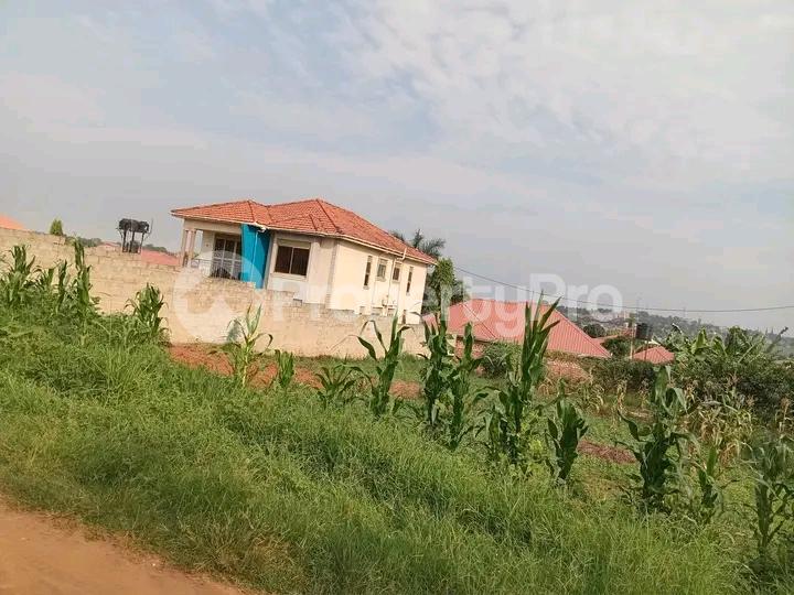 Land for sale Namugongo road  Kampala Central Kampala Central - 3