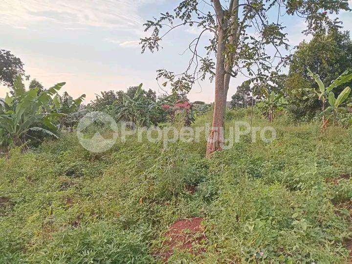 Land for sale Namugongo  Kampala Central Kampala Central - 2