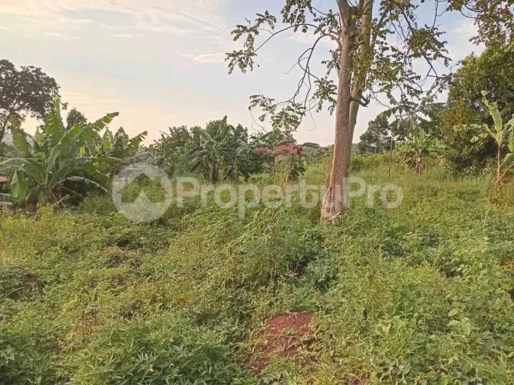 Land for sale Namugongo  Kampala Central Kampala Central - 1