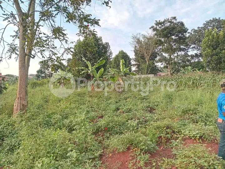 Land for sale Namugongo  Kampala Central Kampala Central - 3