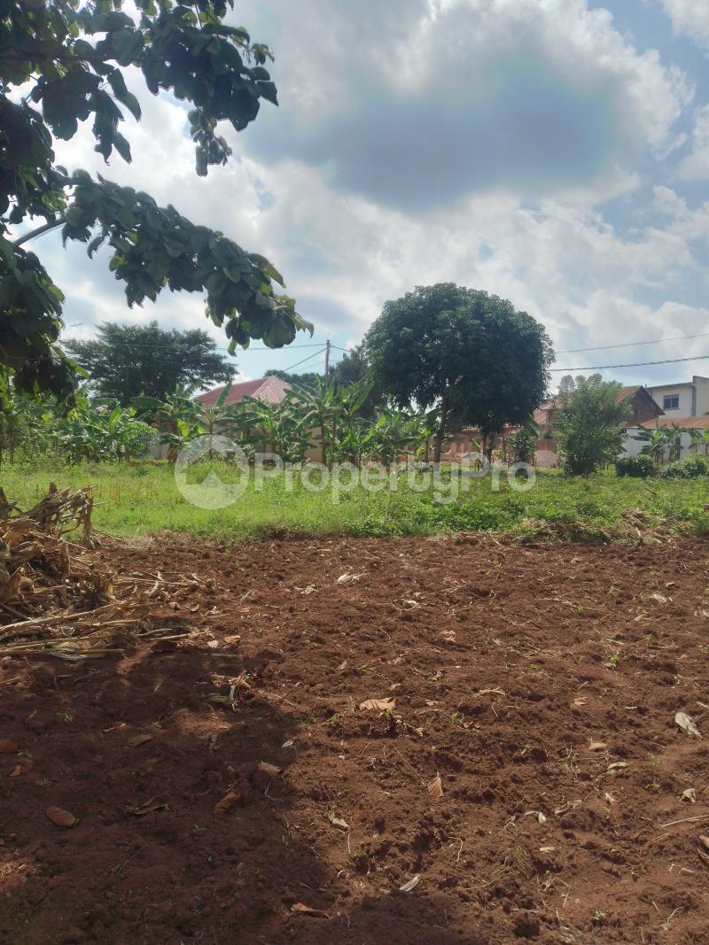 Land for sale Seeta lumuli  Mukono Central - 5