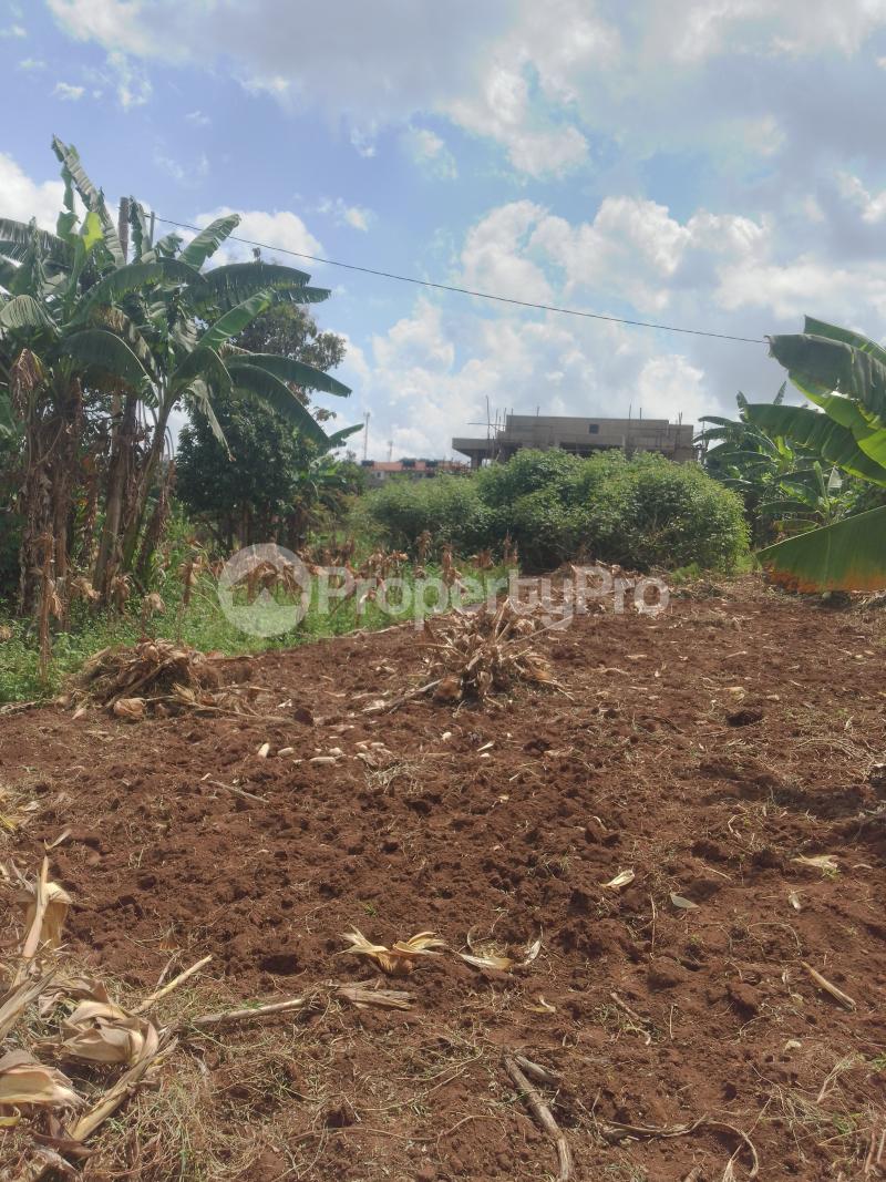 Land for sale Seeta lumuli  Mukono Central - 4