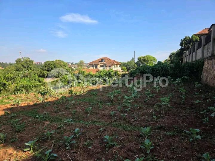 Land for sale Najjera  Kampala Central Kampala Central - 1