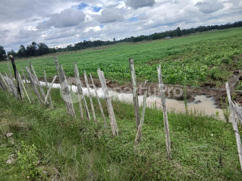 Agricultural Land for rent Thogoto Kikuyu