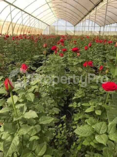 Land for sale Nakuru Town Nakuru