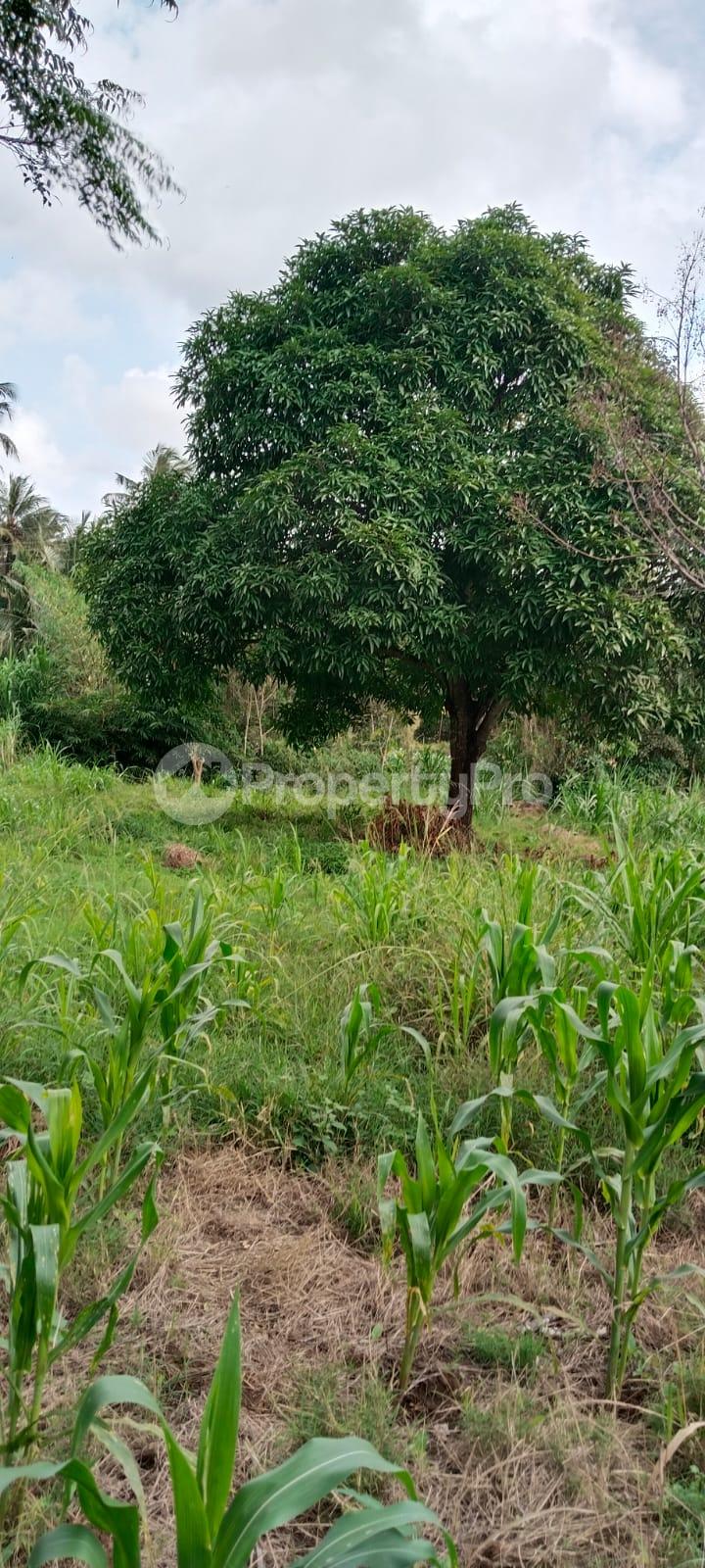 Land for sale Kilifi Kilifi