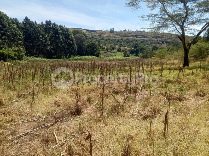 Land for sale Nyeri Nyeri