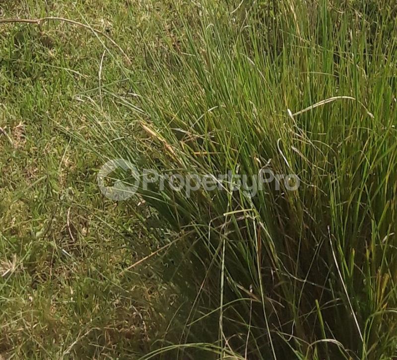 Agricultural Land for sale Laikipia Laikipia - 0