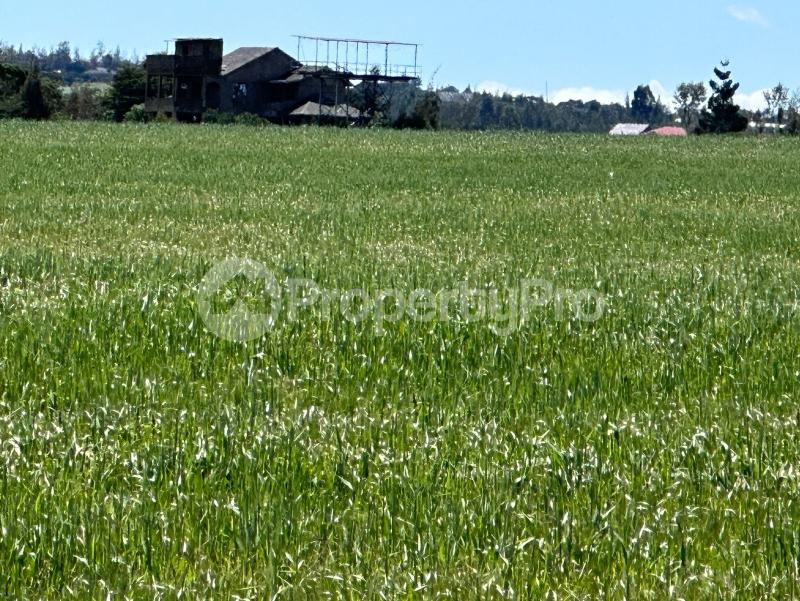 Land for sale Nyeri Nyeri