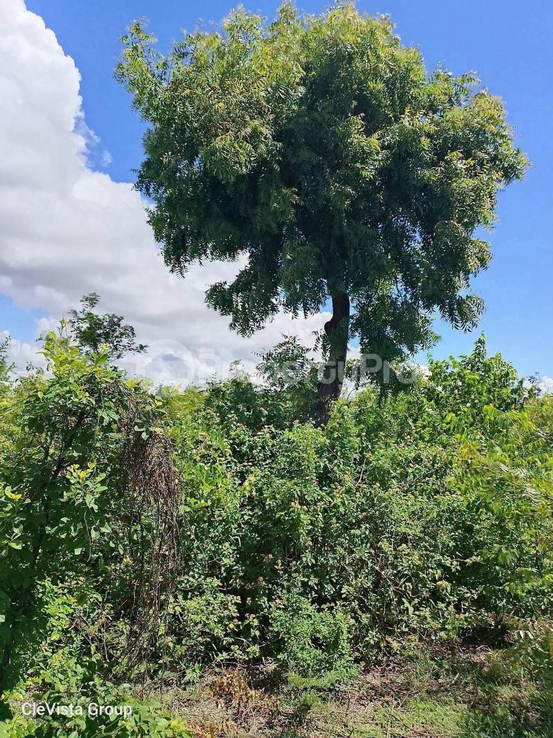 Land for sale Lunga Lunga Kwale