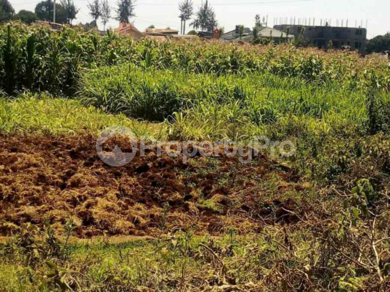 Land for sale Tigoni Limuru