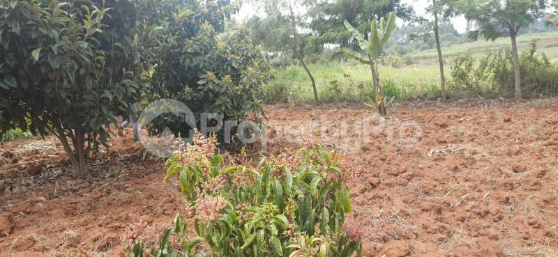 Land for sale Limuru Central Kiambu