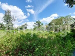 Land for sale Ridgeways Nairobi