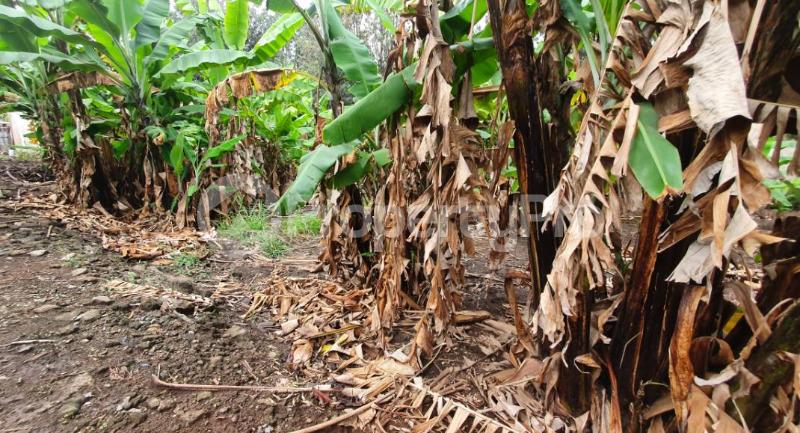 Land for sale Karen Nairobi