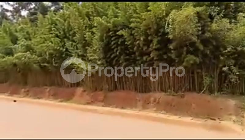 Land for sale Najjera town on tarmac  Kampala Central Kampala Central - 1