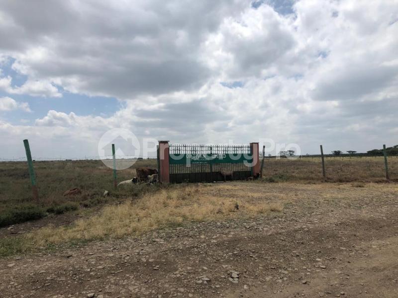 Land for sale Nanyuki Nanyuki
